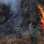 Korban Karhutla Bromo Bertambah Jadi 6 Orang
