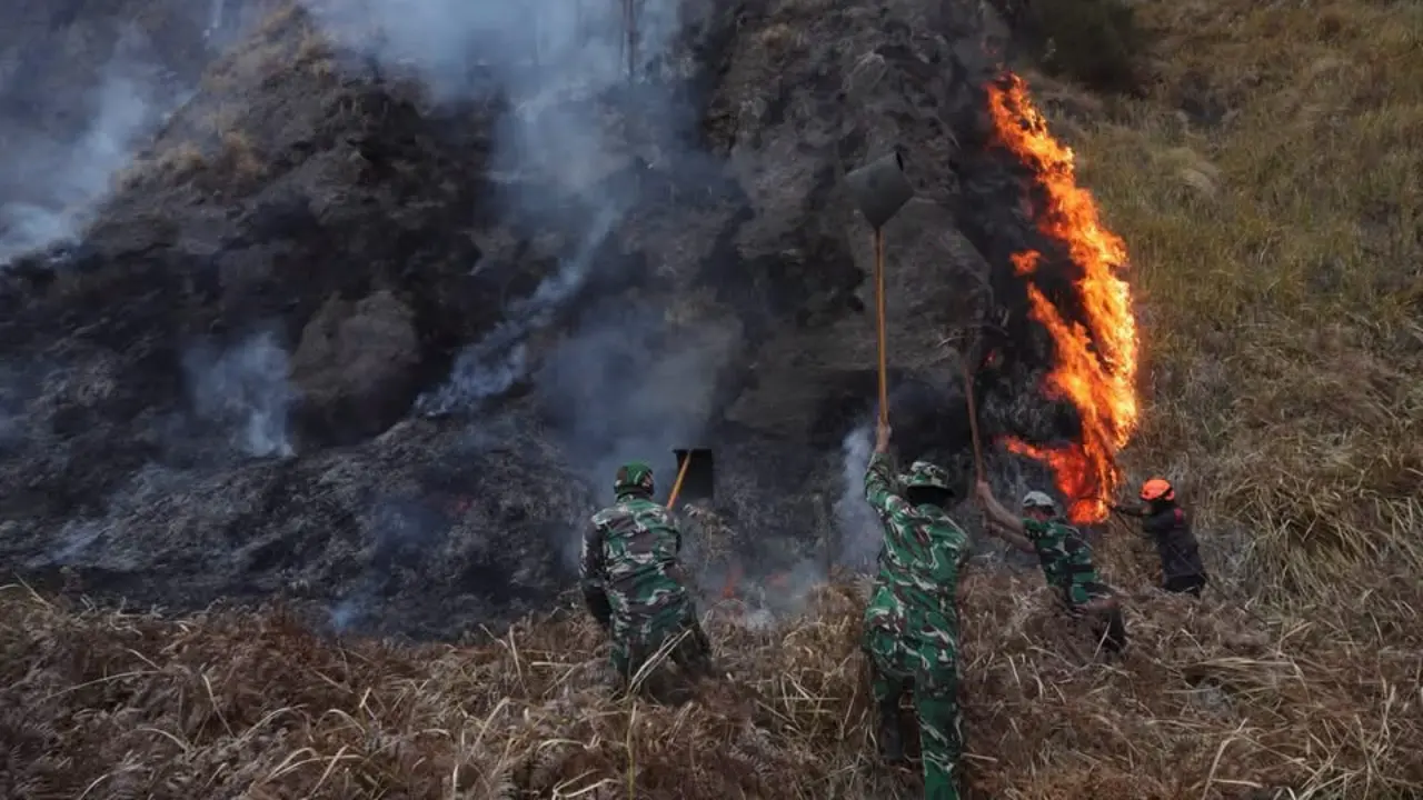 Korban Karhutla Bromo Bertambah Jadi 6 Orang