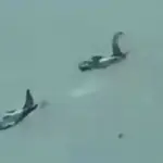 2 Pesawat Militer Filipina Tabrakan di Udara, 4 Pilot Tewas